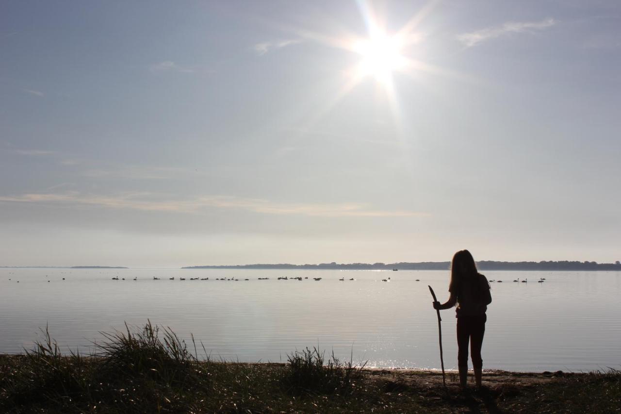 Traditionelles Reethaus direkt an der Ostsee Rerik Buitenkant foto